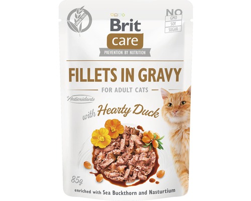 BRIT CARE