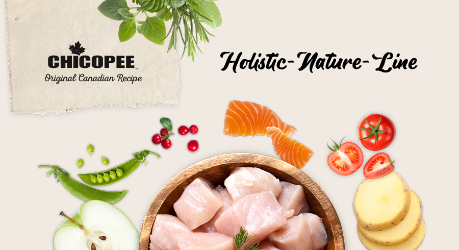 Chicopee - HOLISTIC