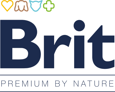 BRIT premium by nature