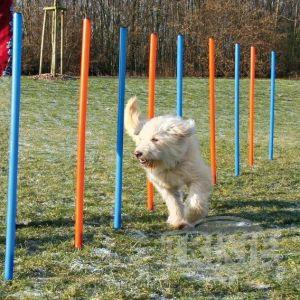 AGILITY Slalom, tyče 12ks