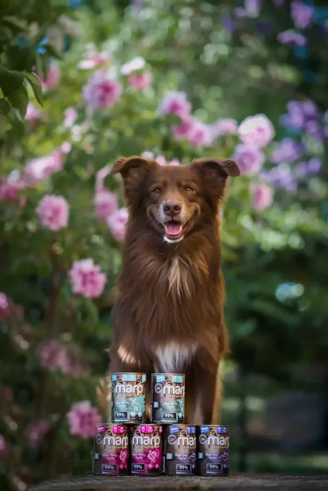 Marp Variety Single tuňák konzerva pro psy 400g