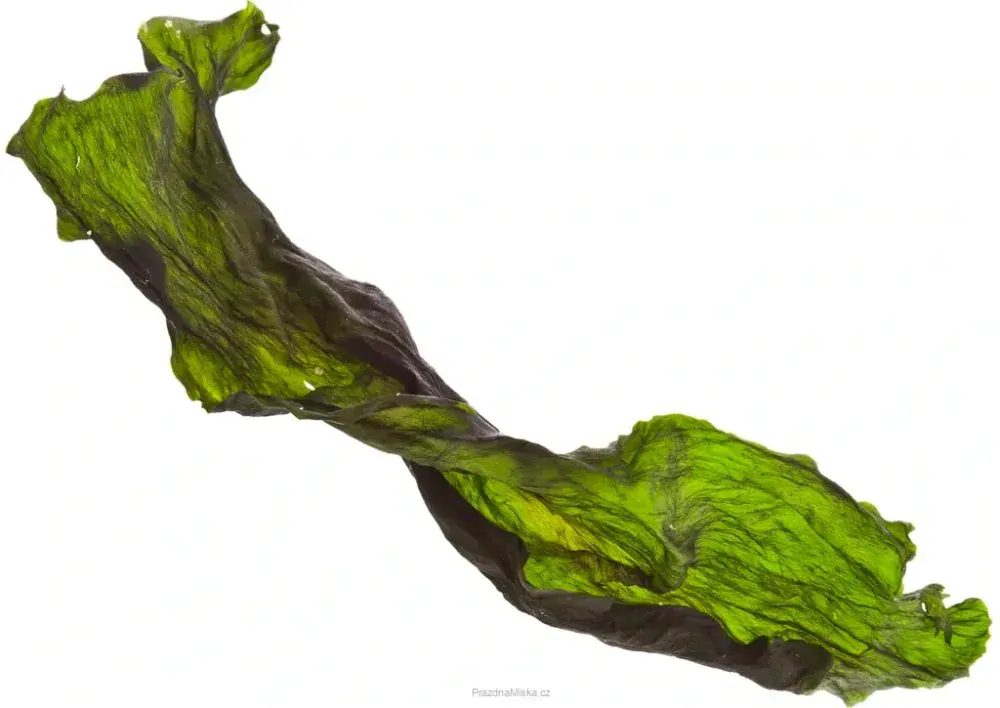 Marp Holistic - Kelpa 100g