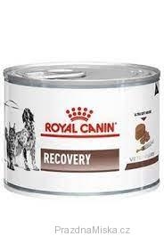 Royal Canin VD Fel / Can Recovery 195g konz