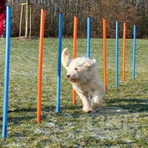 AGILITY Slalom, tyče 12ks