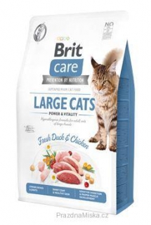 Brit Care Cat GF Large cats Power&Vitality 2kg