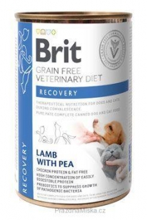 Brit VD Dog+Cat GF konz. Recovery 400g