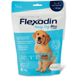 Flexadin Yong Dog Maxi 60 tbl