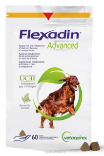Flexadin Advanced žvýkací tablety 60 tbl
