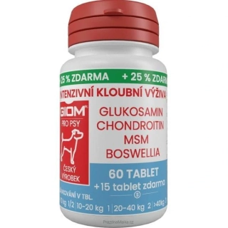 Giom S Intenzivní kloubní výživa 60 tbl + 25 % zdarma